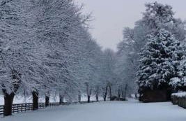 Stewards Bothy - Foto 74