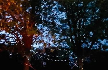 Spacious Cottage - Sleeps 4 - in the Black Mountains - Photo 49