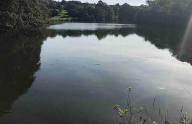 Bumble Bee Cottage - Photo 23