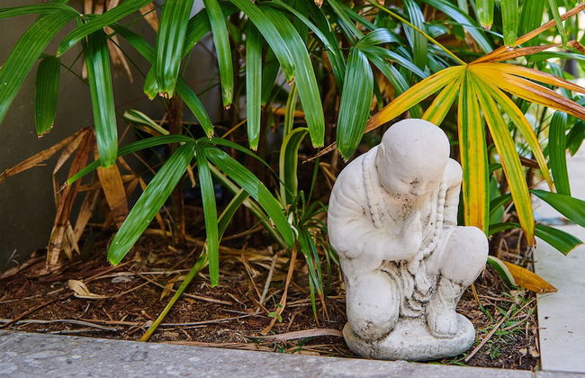 Julians Apartments - Photo 56