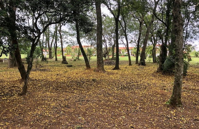 Cinematográfico, Encantador e Paradisíaco - Photo 68
