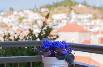 Lithos Residence Poros - Foto 39