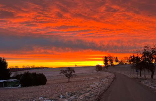 Ferienwohnung zur Falkenlay Bad Bertrich - Photo 15