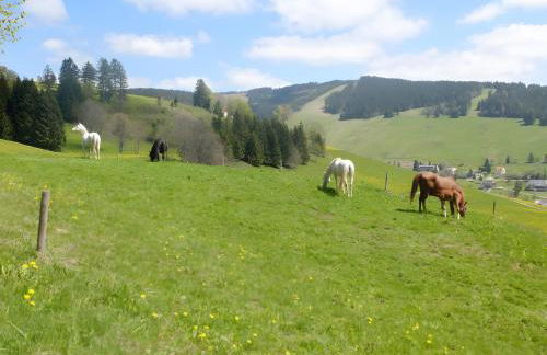 Ferienwohnung Bergahorn - Foto 8