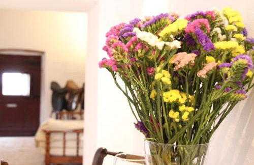 Casa de Veiros - Estremoz - Foto 16