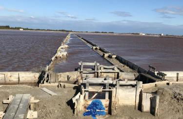 Mobilhome Loulousab10 Vacances cosy en famille chiens bienvenus - Foto 23