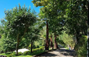 Casas Bouça Maria - Aqua Village & Sports - Foto 52