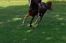 Sitio Tripans Paraiso dos Sonhos - Foto 3