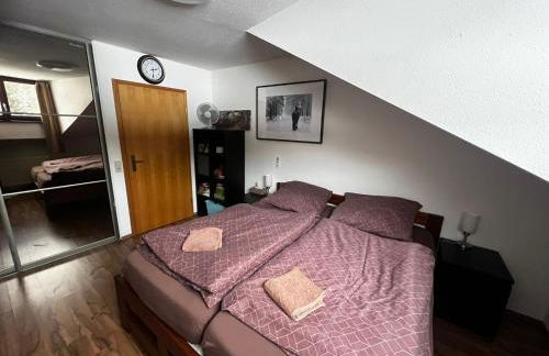 Family Apartment Šumava - Foto 8