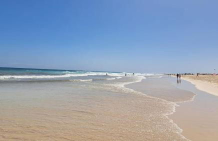 Casa Tabaiba - Photo 20