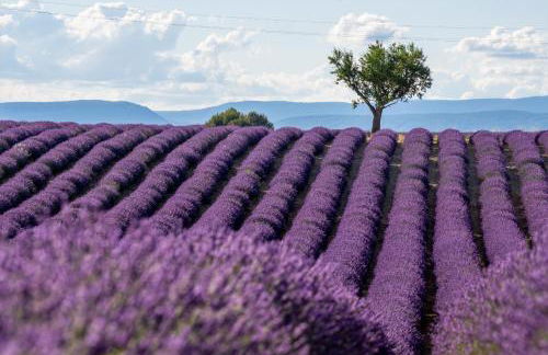 Petite Toscane Villa close to Aix en Provence - Foto 58