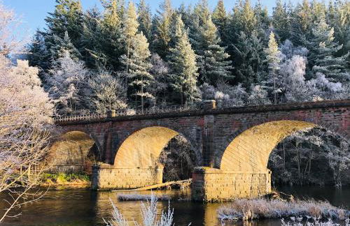 Queen Mary's Chamber - Foto 10