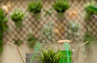 Serranos 24 Apartamento Rector Cobos - Foto 25