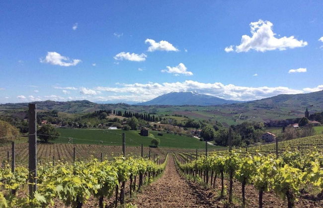 Agriturismo Terre Vineate - Foto 32