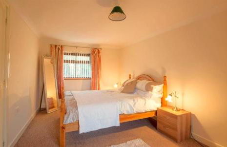 Tregib Mill Cottage - Photo 11