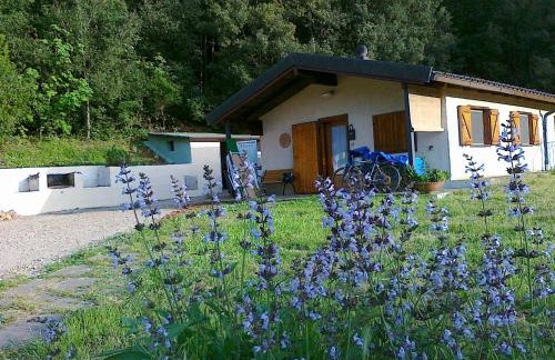 L' Amabile Geko - Foto 11