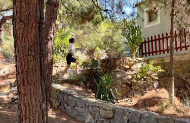 Kalyva Cottage - Foto 23