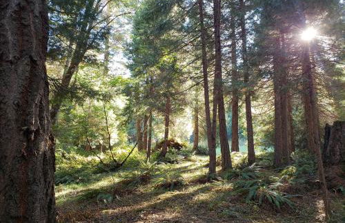 Blissful Solitude Cottage - Foto 24