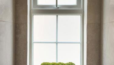 The golden place - Foto 2