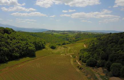 Tenuta Santo Pietro - Foto 58