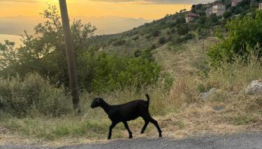 Demi ' s House : Σπίτι στο βουνό με μαγευτική θέα! - Foto 4