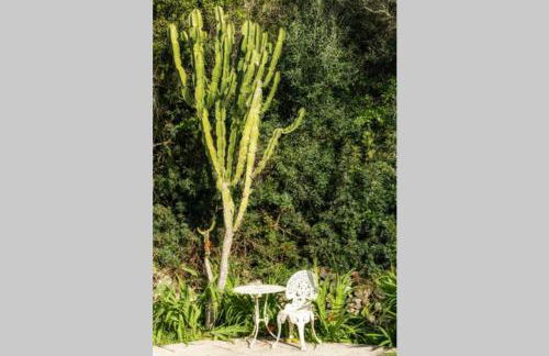 Villa Cecylia - Foto 43