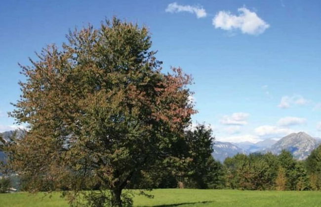 Agriturismo Prisma - Foto 26