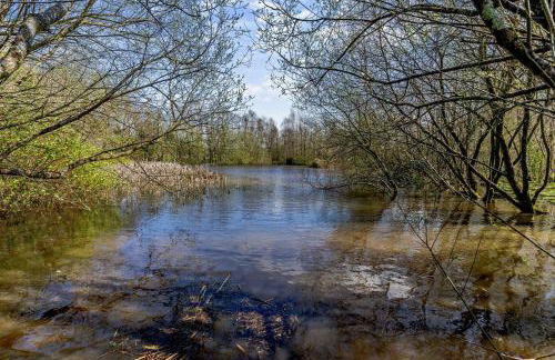 2 Bed in Cross Inn oc-t29117 - Photo 24