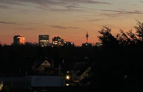 Goldheidis - Foto 36