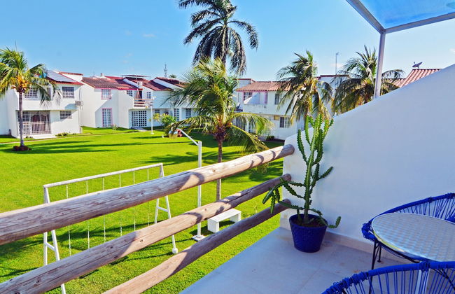 HominngBird - Foto 79