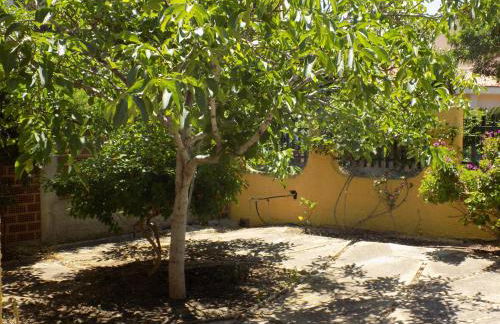 Casa Vacanze Gardenia - Foto 6