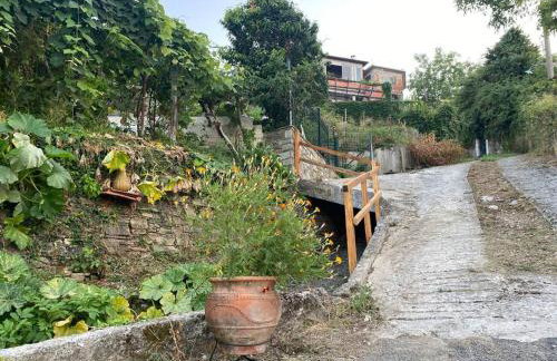 Winter Summer House - Foto 14