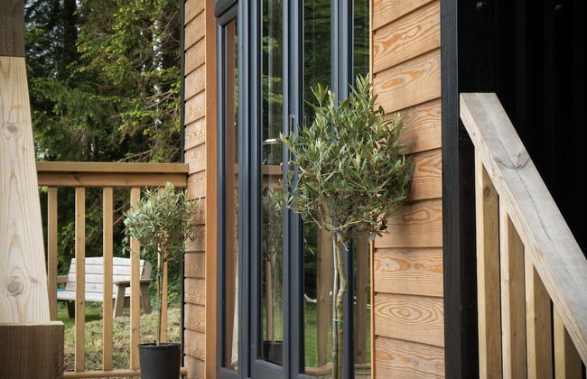 Cabin In The Woods - 1 Bed - Kilgetty - Foto 41