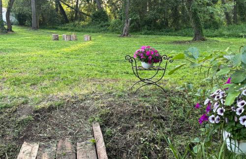 Gîtes Terra di a Bravona - Foto 45