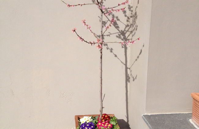 Podere don Peppe 1884 - Photo 29