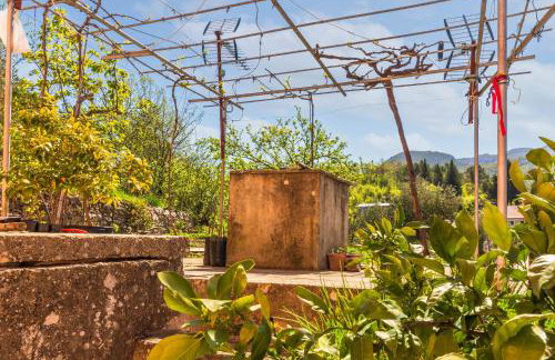 Greenway Apartment Radić - Photo 44