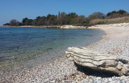 Apartment Luisa - Photo 23