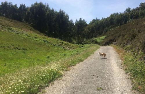 Casa dos Veados - Foto 25