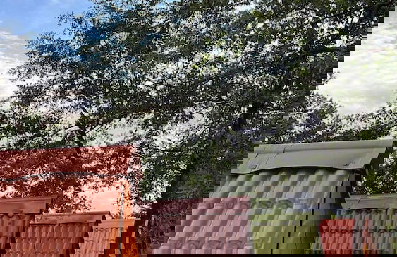 Hotel Haras Paraíso do Atlântico - Foto 6