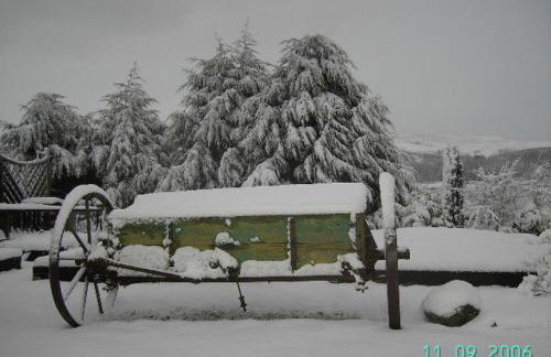 Tyddyn Perthi Farm - Foto 16