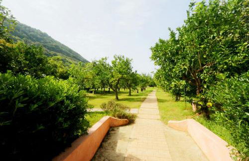 Residenza La Vigna - Foto 99