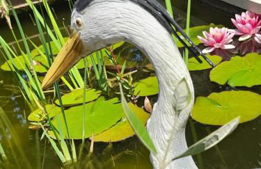 Domaine de l'Ermitage - Foto 67