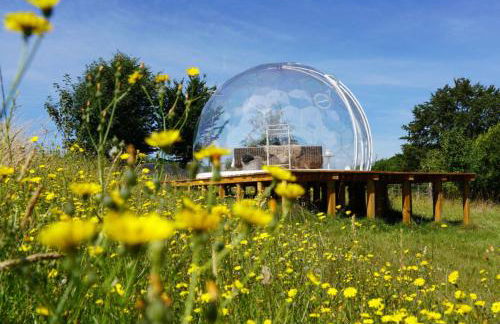 Eichenhof Kalletal - Photo 3