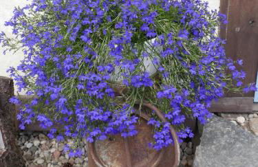 Chata na Zielonym Wzgórzu - Foto 61