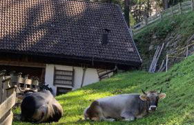 Leithäusl - Photo 67