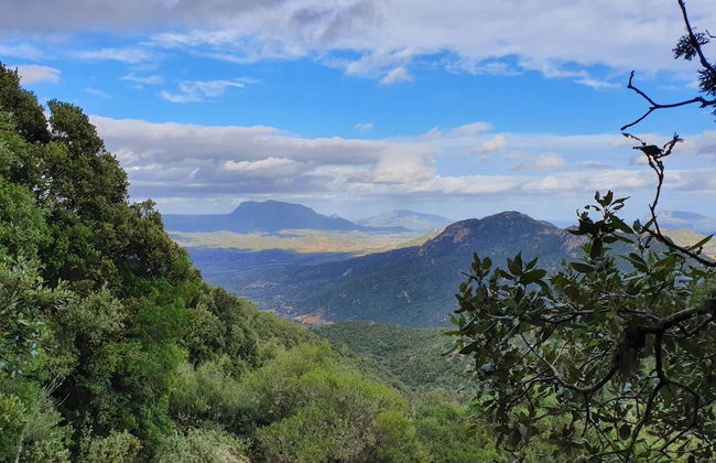 Terry's House - Photo 36