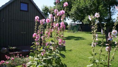 Ferienwohnung Schröder - b66541 - Foto 2