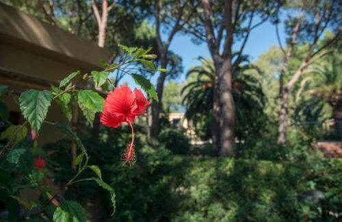 Abbaechelu - Foto 21