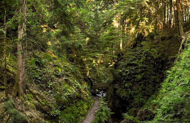 Old Kilmun House - Foto 55