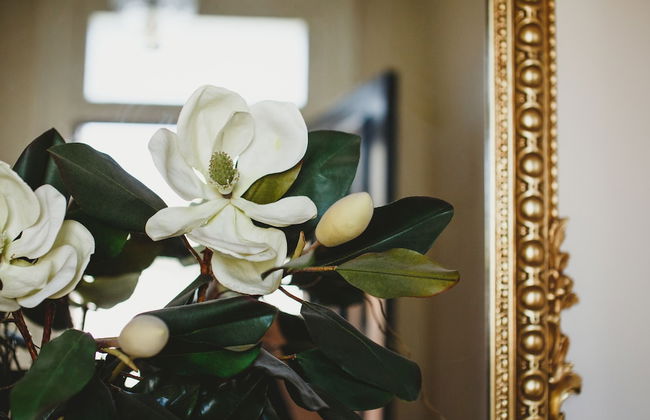 The Grand Old Duke - Foto 18